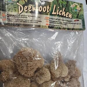 Deer Root Lichen Brand New for Reptiles or decor
